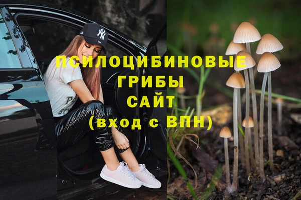 jwh Алзамай