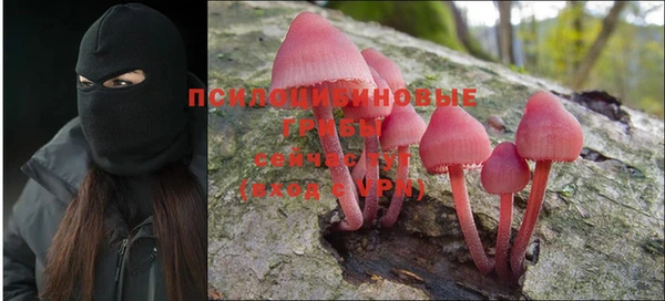jwh Алзамай