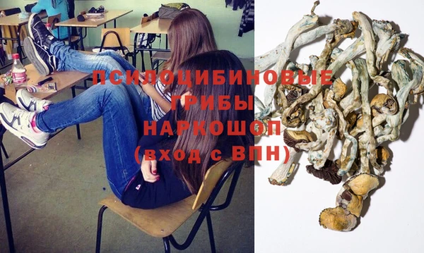 jwh Алзамай