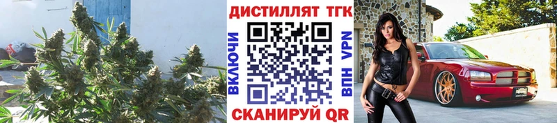 ТГК концентрат Опочка