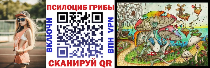 Псилоцибиновые грибы Psilocybine cubensis  Опочка 
